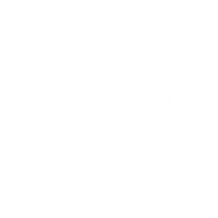 Logo Pinheiro Palmer_wt